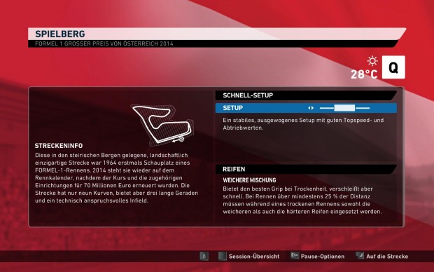 F1 2014 (Screenshot: Golem.de)